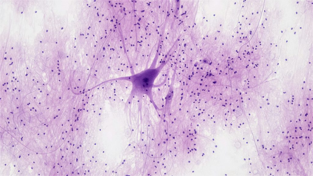 bioscience image library by fayette reynolds wkdk5dt3tk0 unsplash