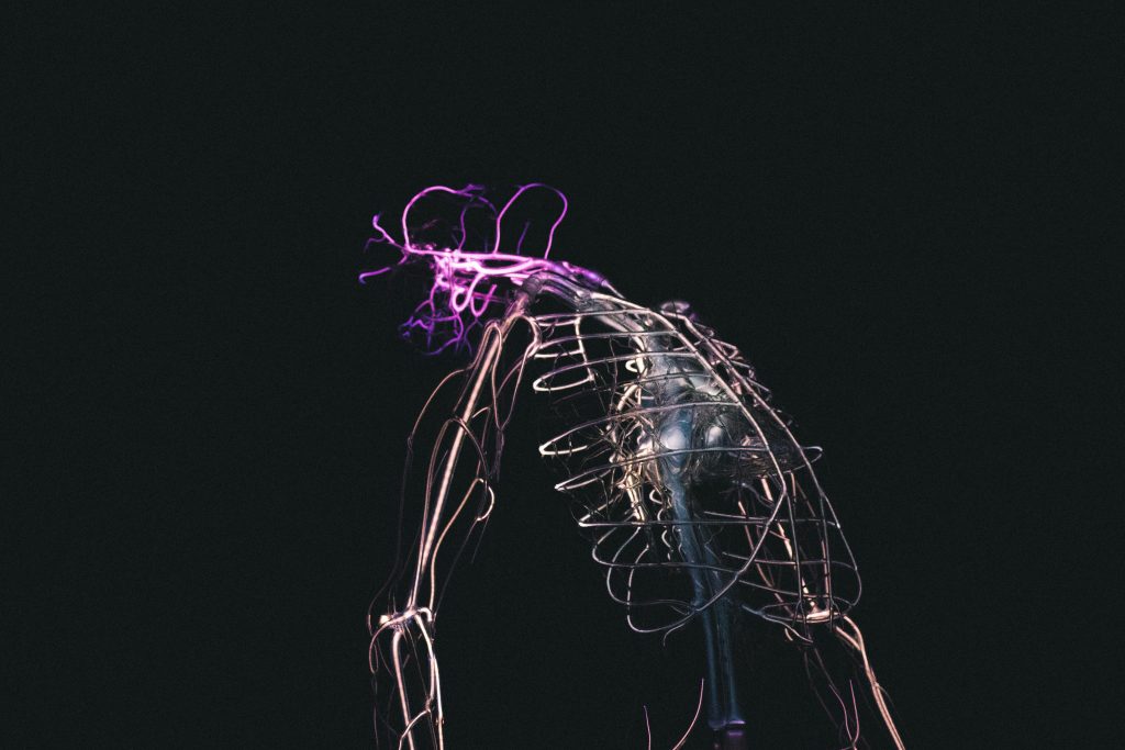 federico lancellotti d5hltyfphre unsplash